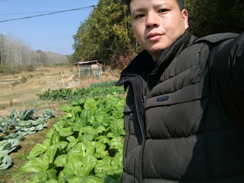 倔强的驴的第一张照片--西安相亲服务中心