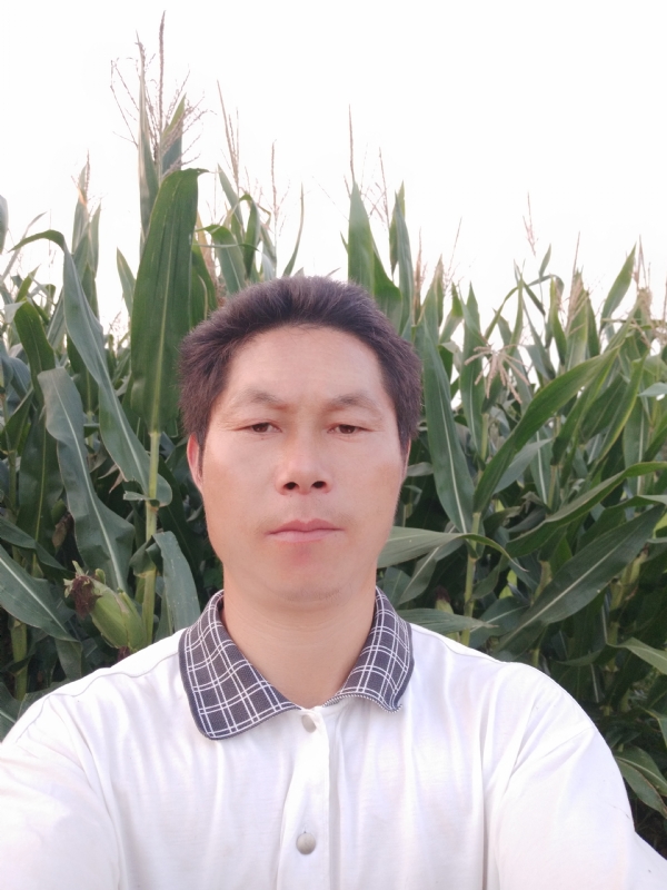 四海游龙的第二张照片--西安相亲服务中心
