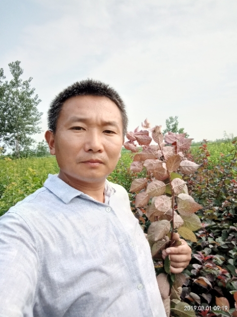 孩子爸的第一张照片--西安相亲服务中心