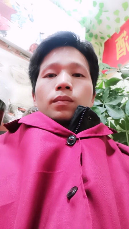 单身的林凡的第一张照片--西安相亲服务中心