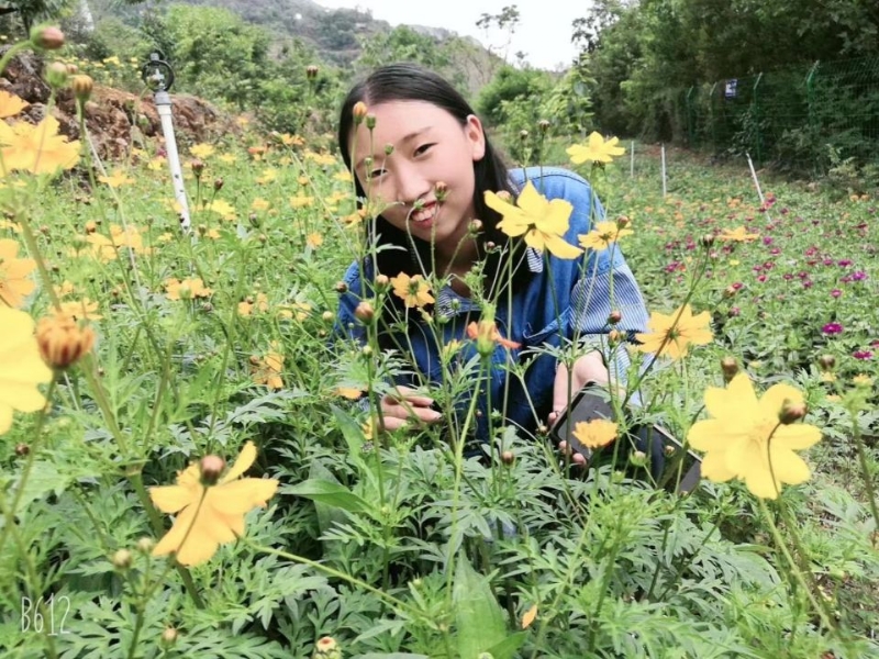 哈哈的第一张照片--西安相亲服务中心