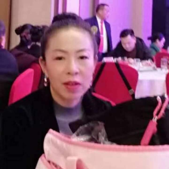 中秋桂花玉兔的第四张照片--西安相亲服务中心