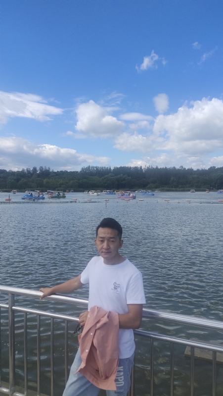 脱了壳的龟的第一张照片--西安相亲服务中心